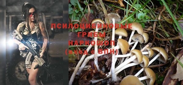 гашиш Аркадак